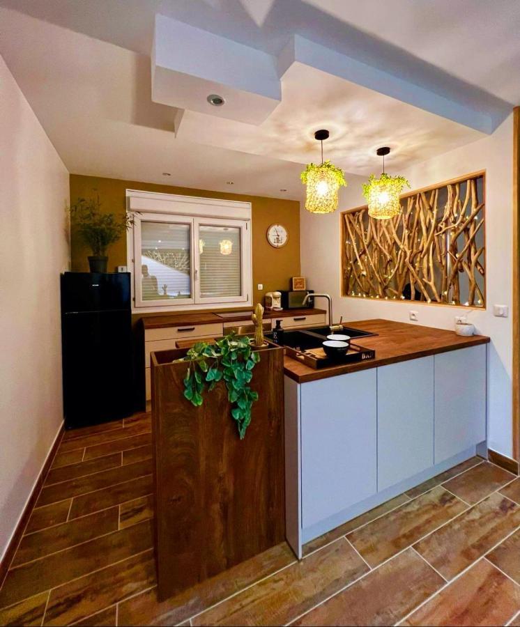 A Fleur De : Maison Chaleureuse Avec Privatif Et Billard. Holiday home Coulogne